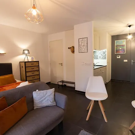 Le Vii, Avec Parking Et Jardin En Plein Centre Apartment *